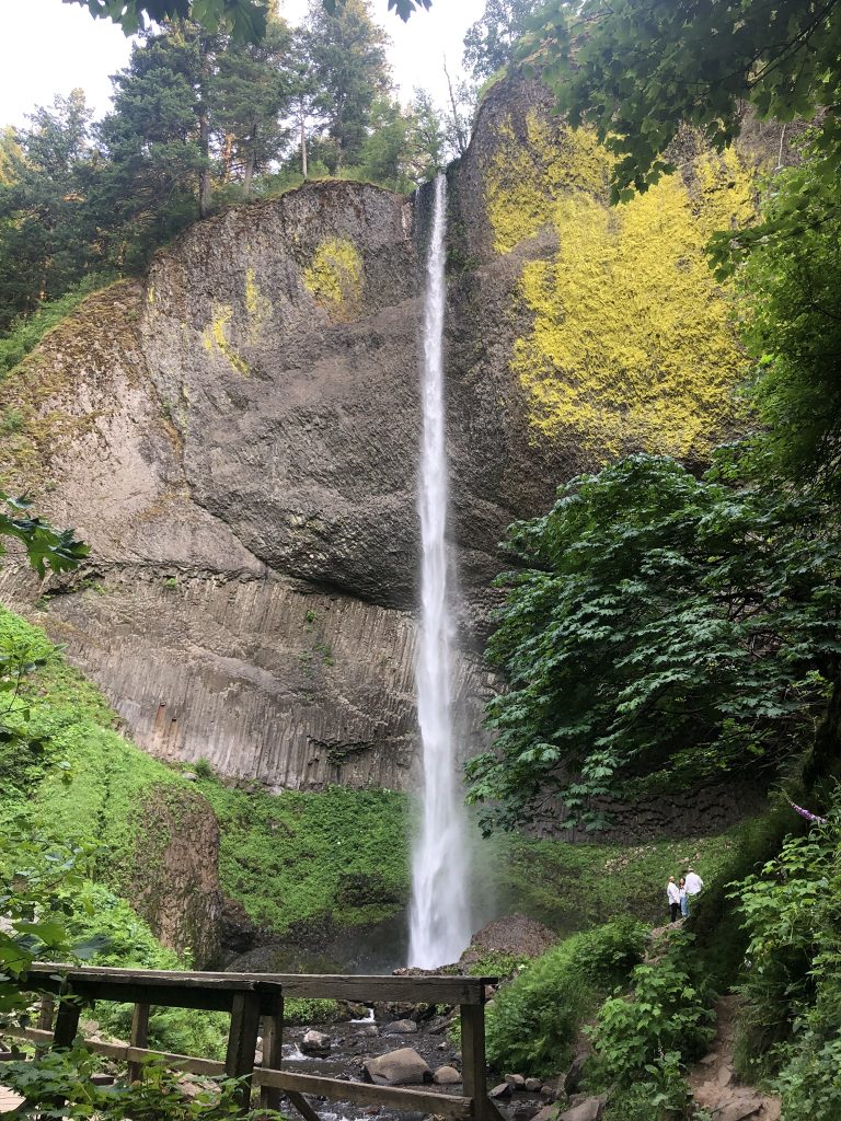 Latourell Falls is a popular sight in the Columbia River Gorge area, and a strikingly tall waterfall. 