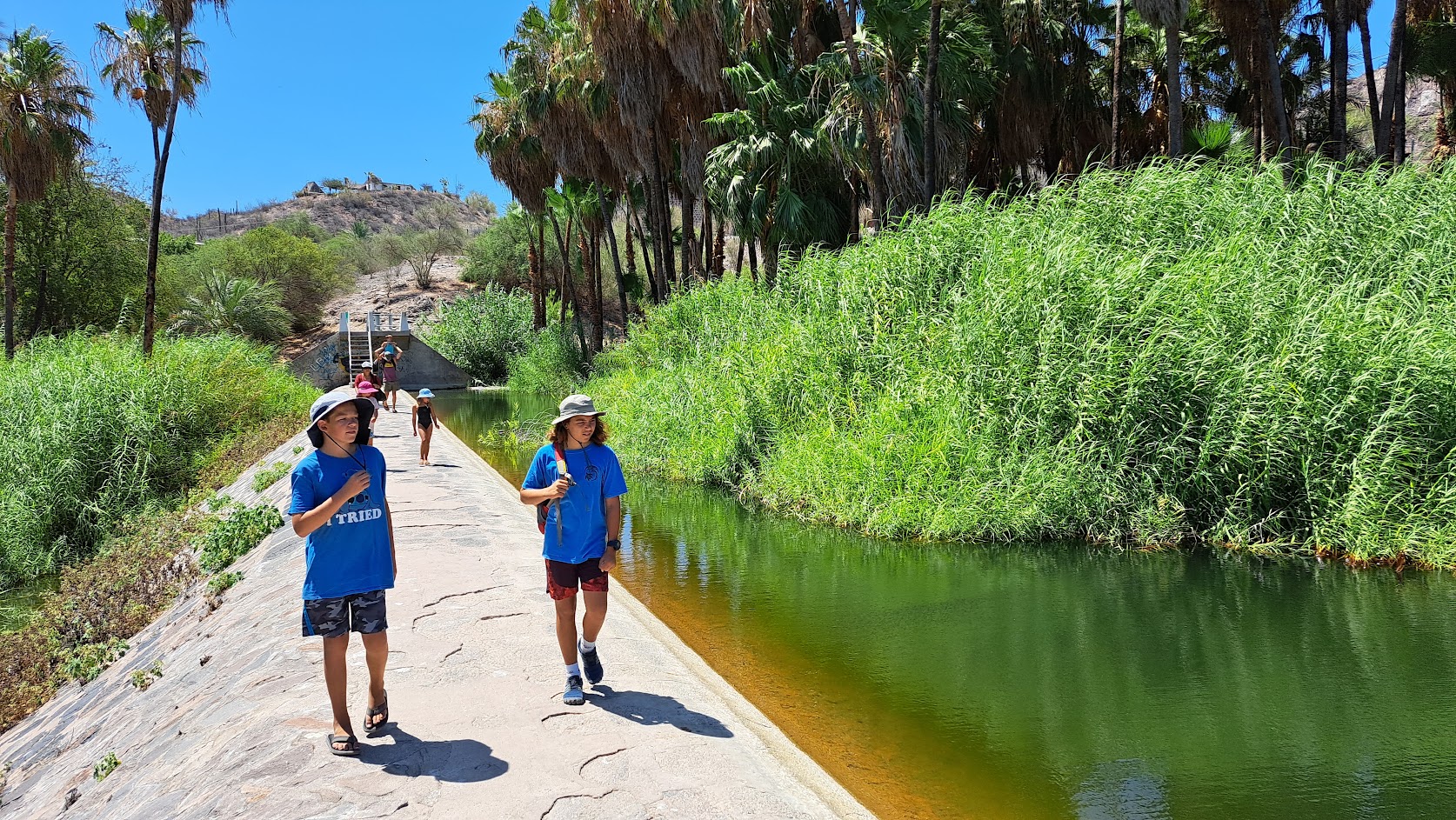 Two people walking along a narrow concrete walkway next to a body of water with thick reeds and palm trees behind it