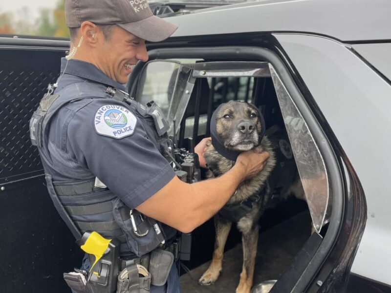 A police offer smiles while adjusting something on his K-9's neck. The dog sits in a squad car.
