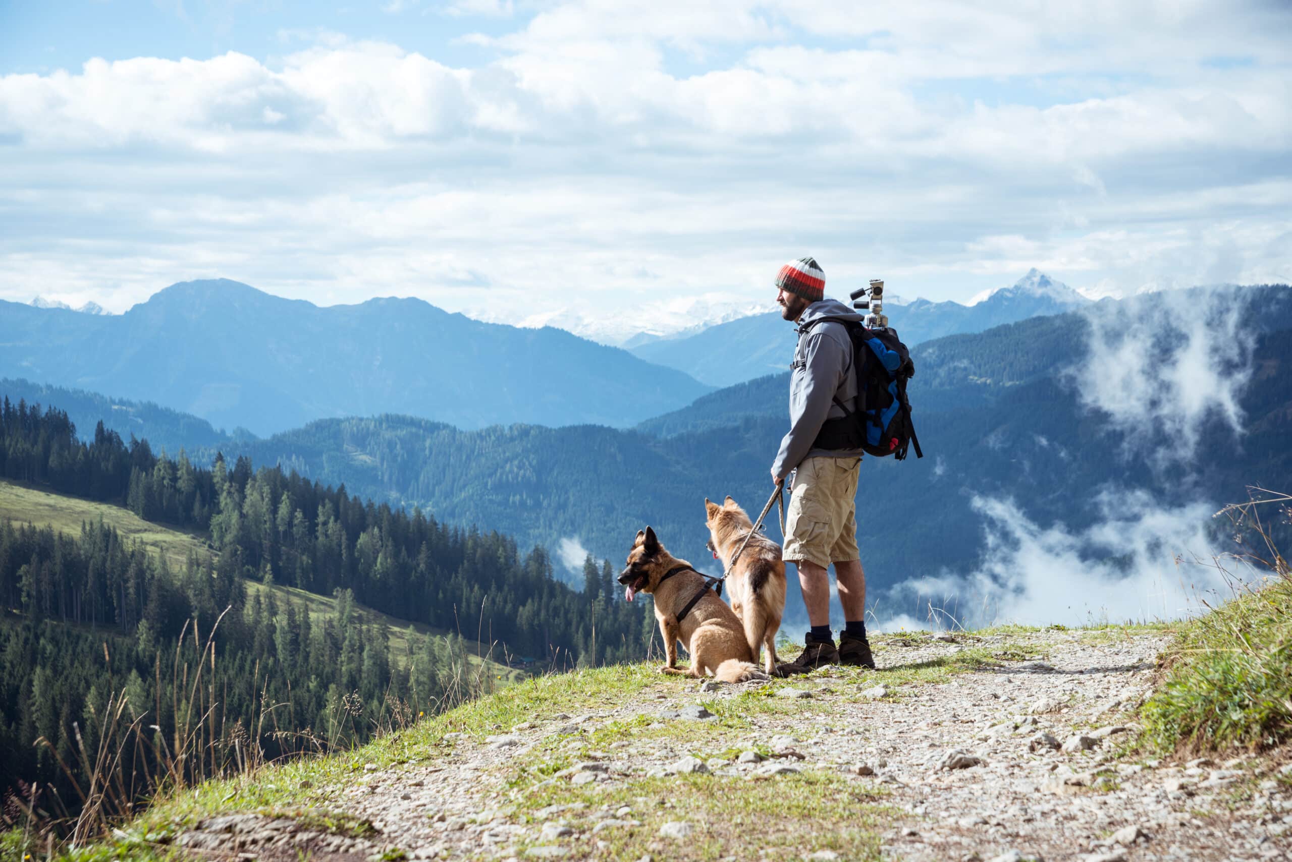 A man wearing a backpack stands on a hill overlooking mountains with two dogs