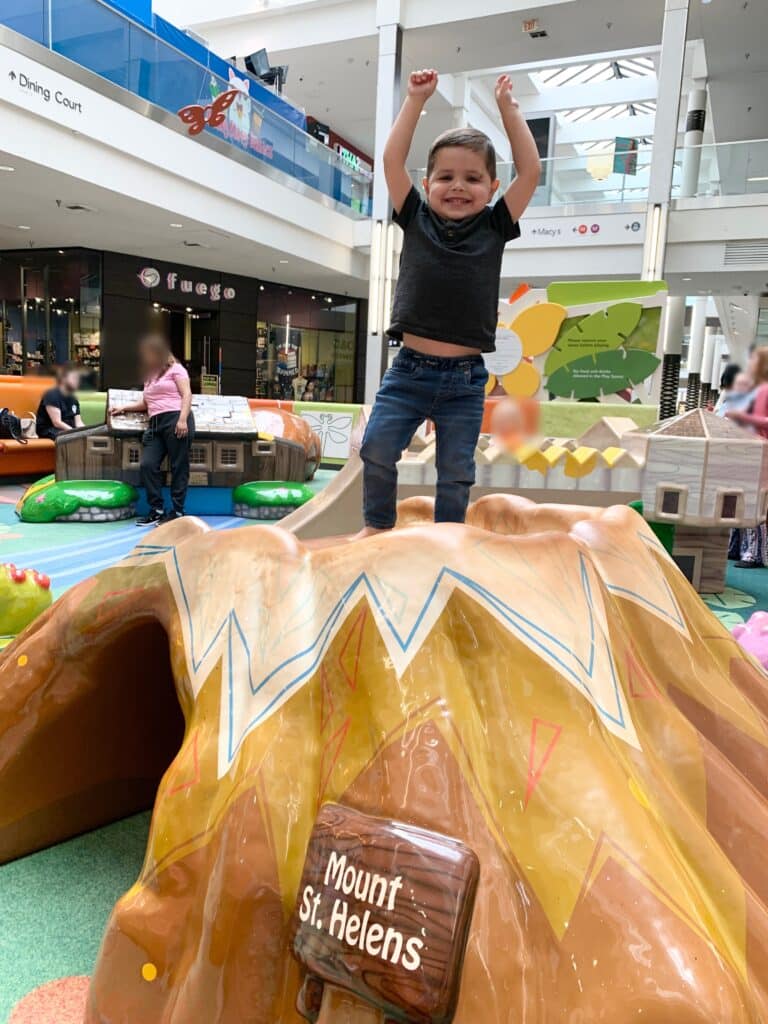 A young boy stands on top of a play mountain with his arms up in victory