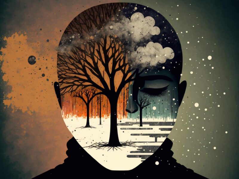Illustration of a face with one half full of leafless trees, the other half full of clouds and blue/gray sky