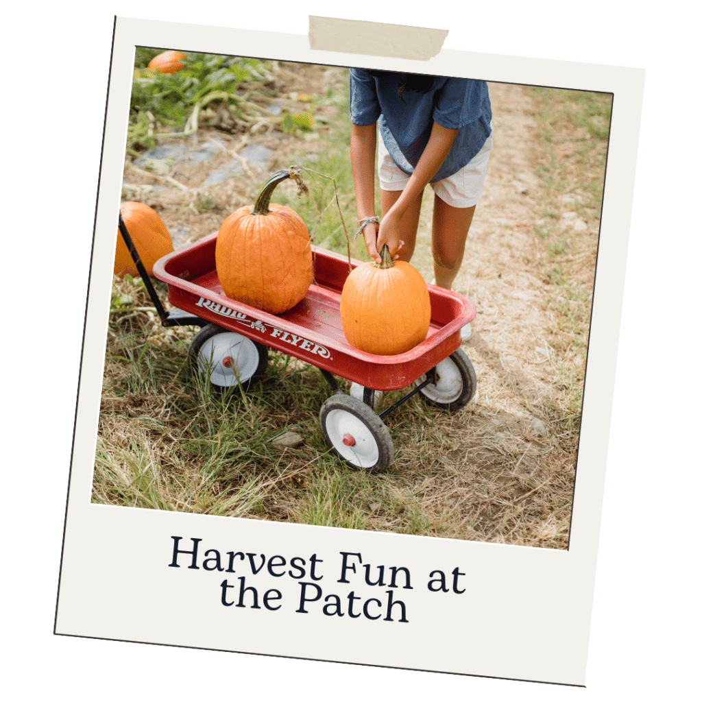 Pumpkin Patches in Vancouver - a person puts pumpkins into a red wagon