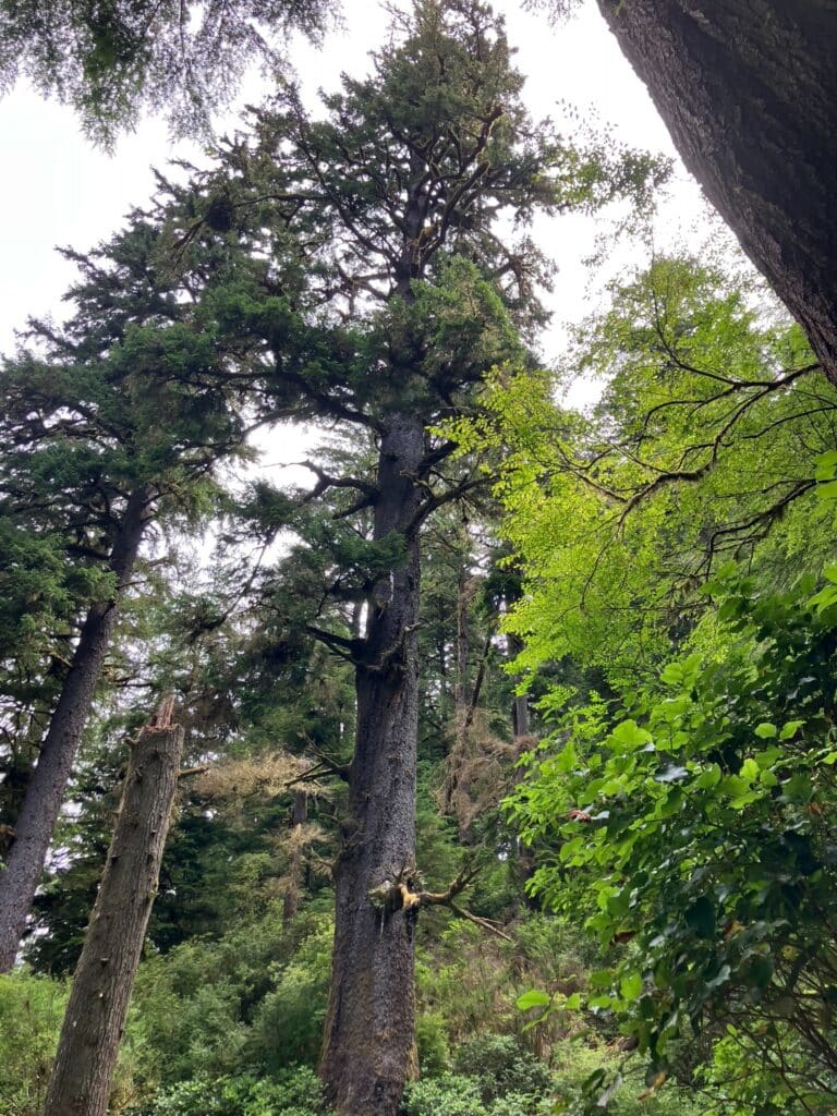 visiting florence oregon