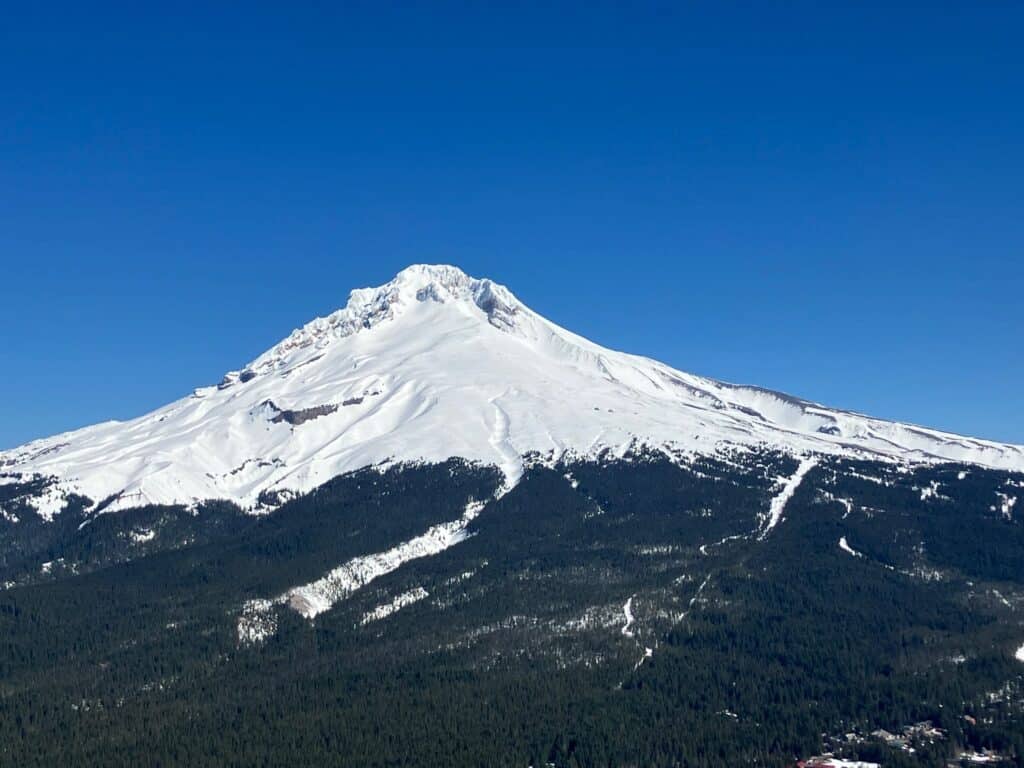 Mogul busters ski school