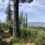 Spring Family Hikes Near Vancouver: Wildflowers, Waterfalls and Trails for Kids