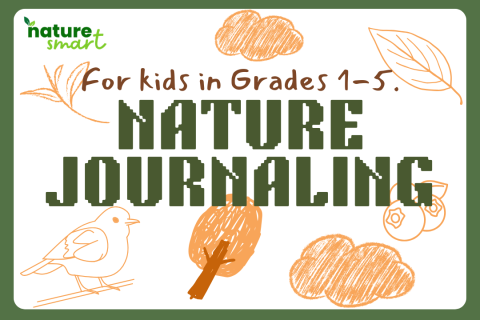 Nature Journaling – LC (1)