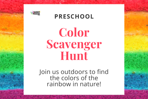 Preschool Color Scavenger Hunt – LM